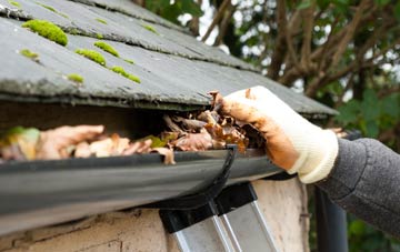gutter cleaning St Georges